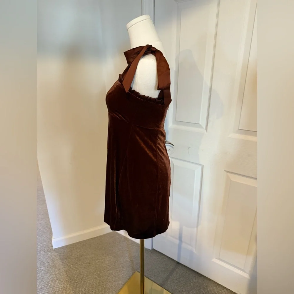 Danielle Bernstein dark burnt orange velvet mini dress - NWT - S - Picture 3 of 15